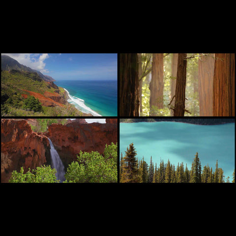 "Nature Relaxation Journey" (Part 1) HD Nature Relaxation Video 1 Hour 1080p Digital Download