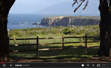 "A Day in Big Sur" HD Nature Relaxation Video 2 Hour 1080p Digital Download or Blu-Ray DVD