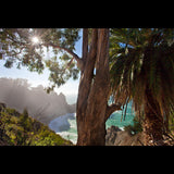 "A Day in Big Sur" HD Nature Relaxation Video 2 Hour 1080p Digital Download or Blu-Ray DVD