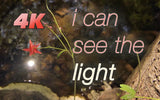 "I Can See The Light" 4K NATURE EXPERIENCE™ HD Nature Relaxation Video Download